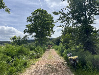 #7: My bicycle waiting by the forest track