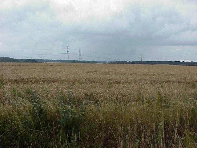 Confluence at 100 meters