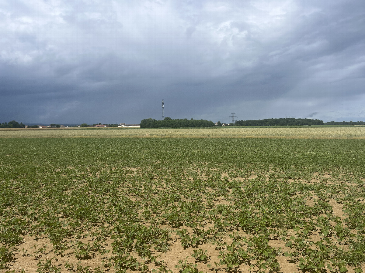 View to the north
