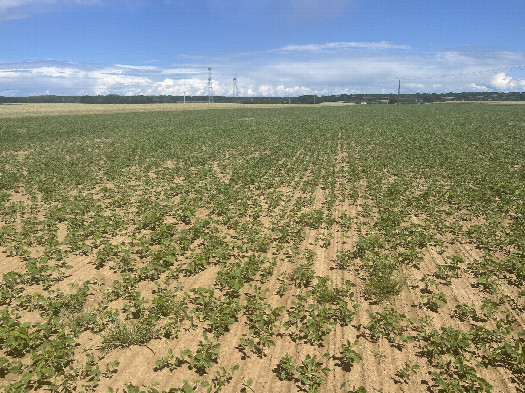 #1: Overview, 15m away from the west