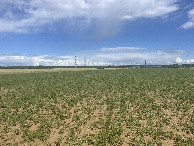 #3: View to the east