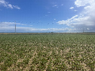 #4: View to the south