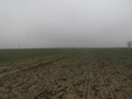 #4: West