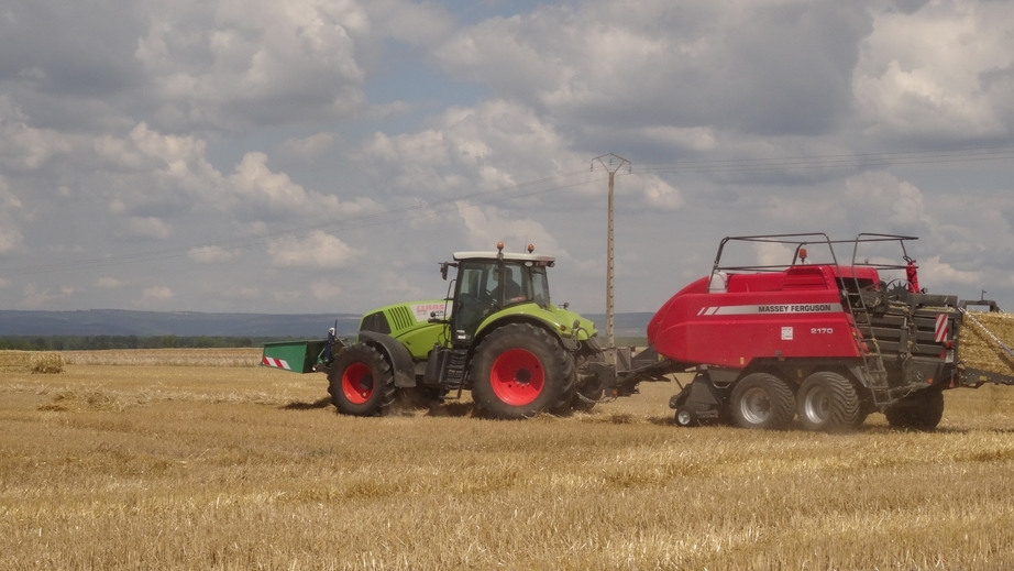 Harvesting straw