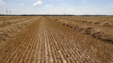 #1: Location of CP 47N 5E at a distance of 77 m