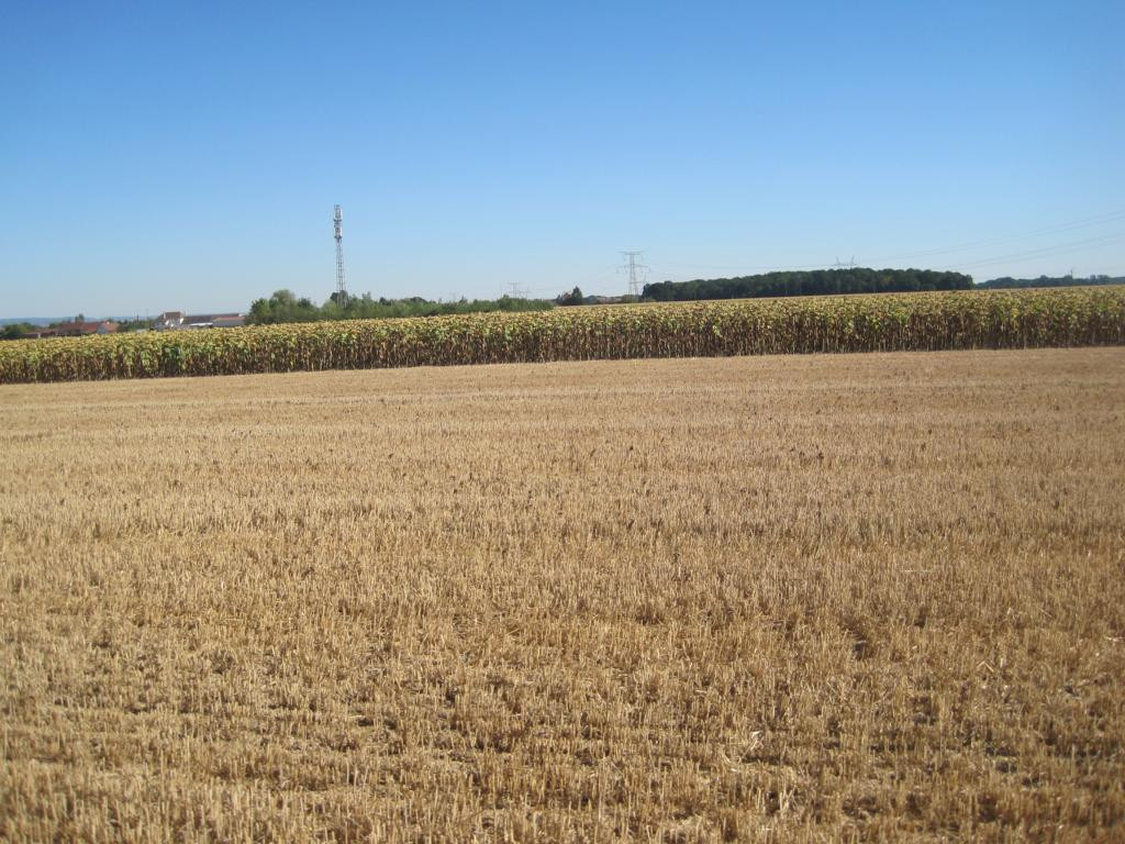 Norden; view north