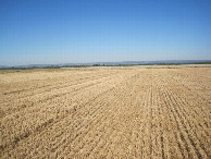 #4: Westen; view west