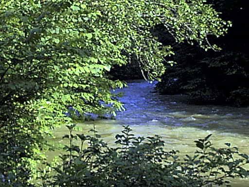 At Lison River looking East