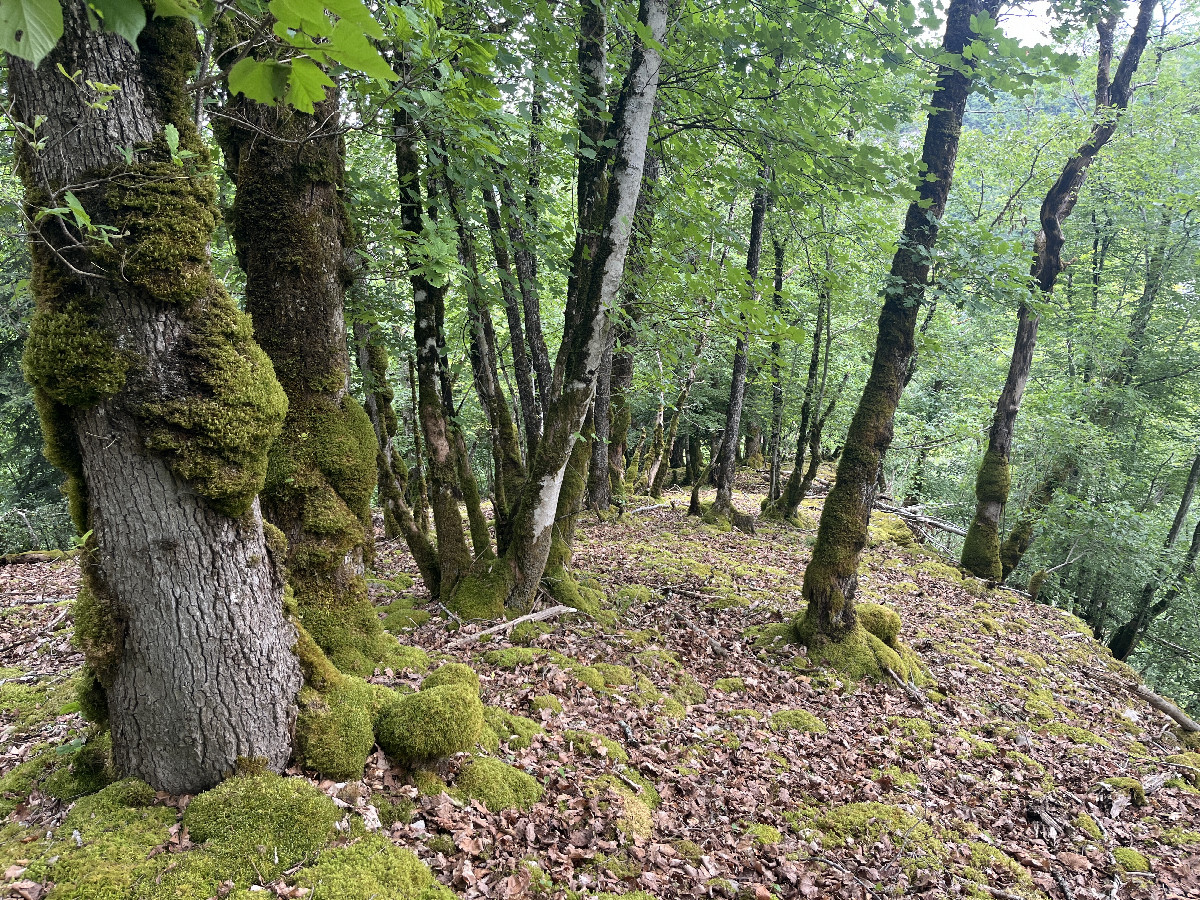 Overview, 90m away from the south