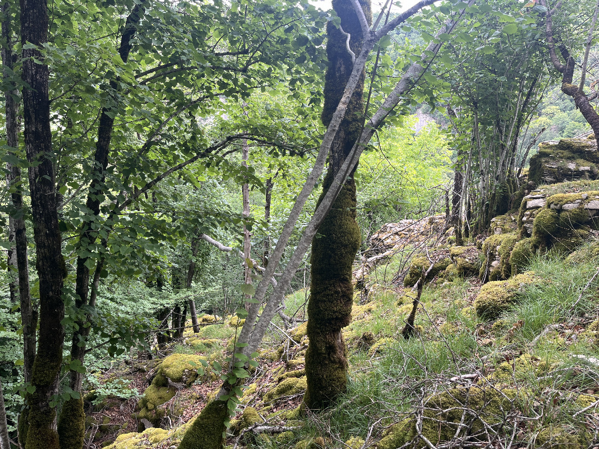 View to the north