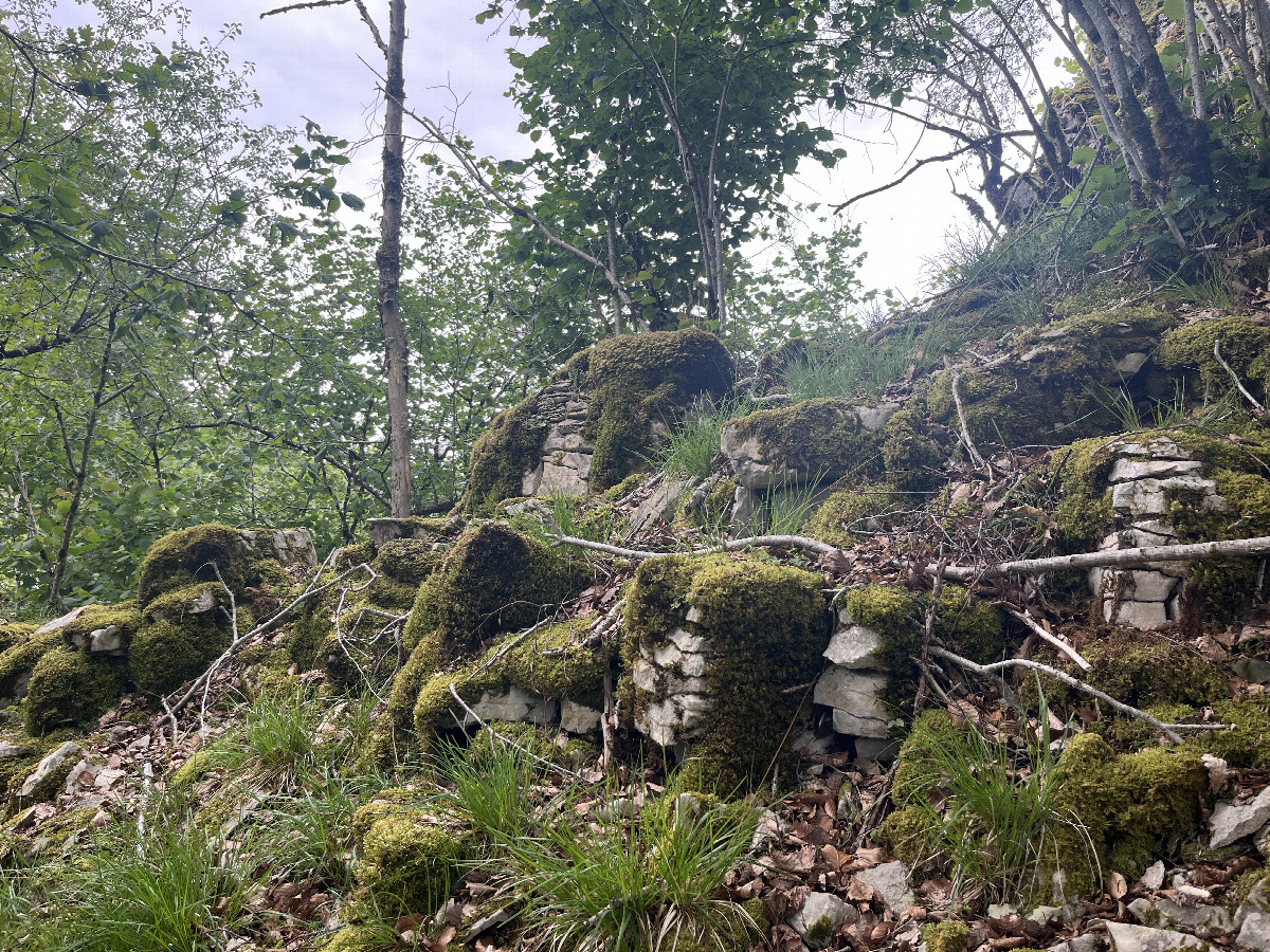 View to the east