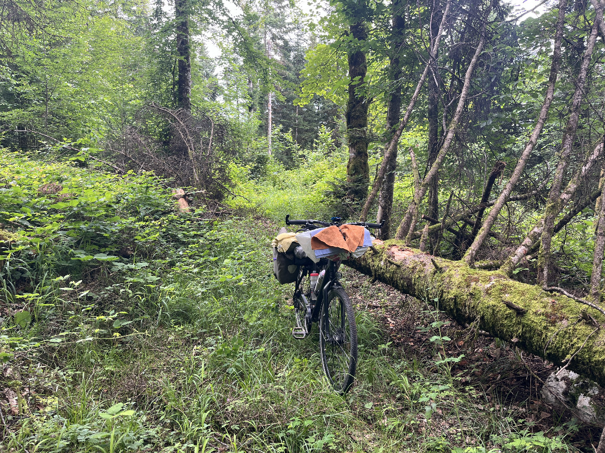 My bicycle at the end on the forest track