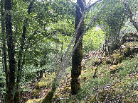 #2: View to the north