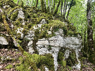 #7: Terrain detail