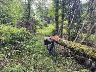 #8: My bicycle at the end on the forest track