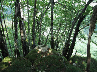 #1: View of the confluence point looking north east