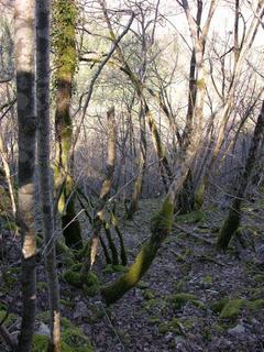 #1: View to the confluence point / Blick zum Confluence Punkt