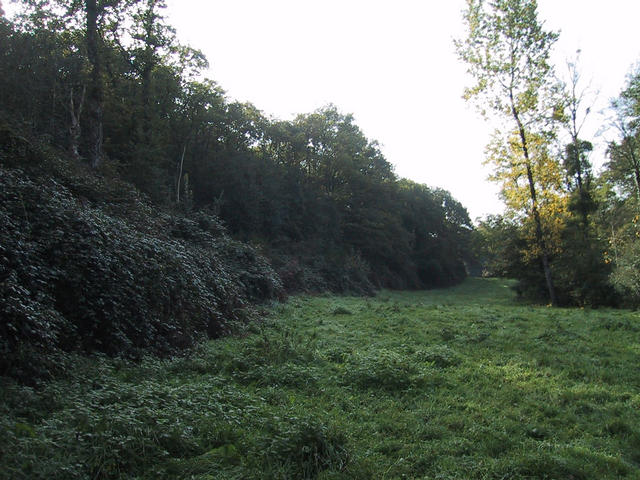 View south from the confluence