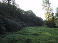 #5: View south from the confluence