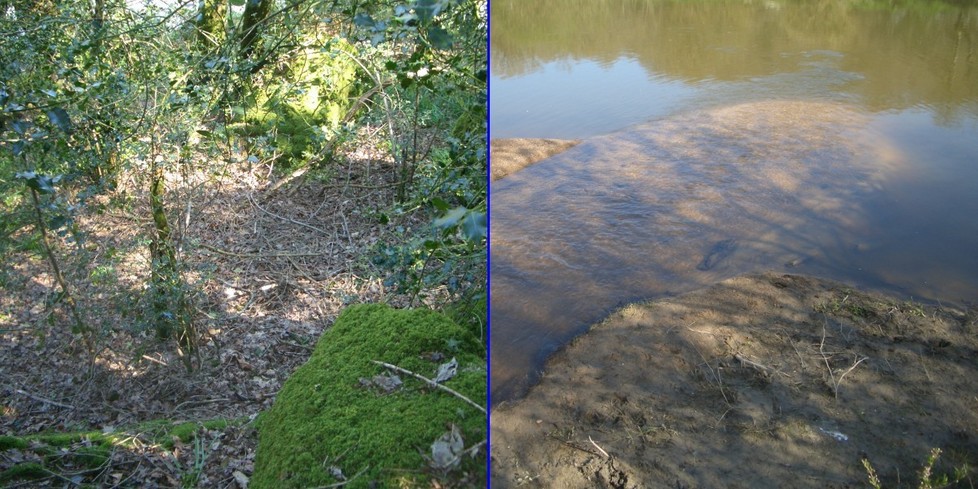 The confluence of 47° N 1° W and also of Lovers brook with river Sèvre Nantaise