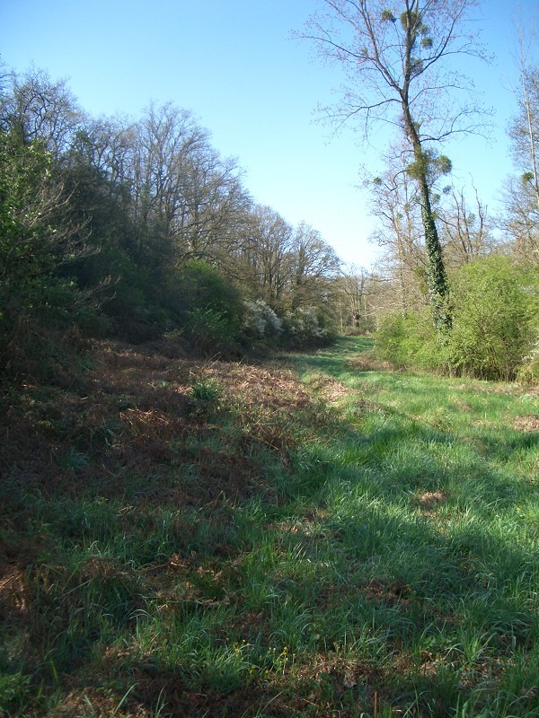 Looking south into the valley