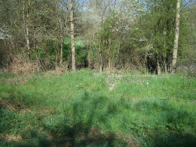 Looking west to the Lovers brook