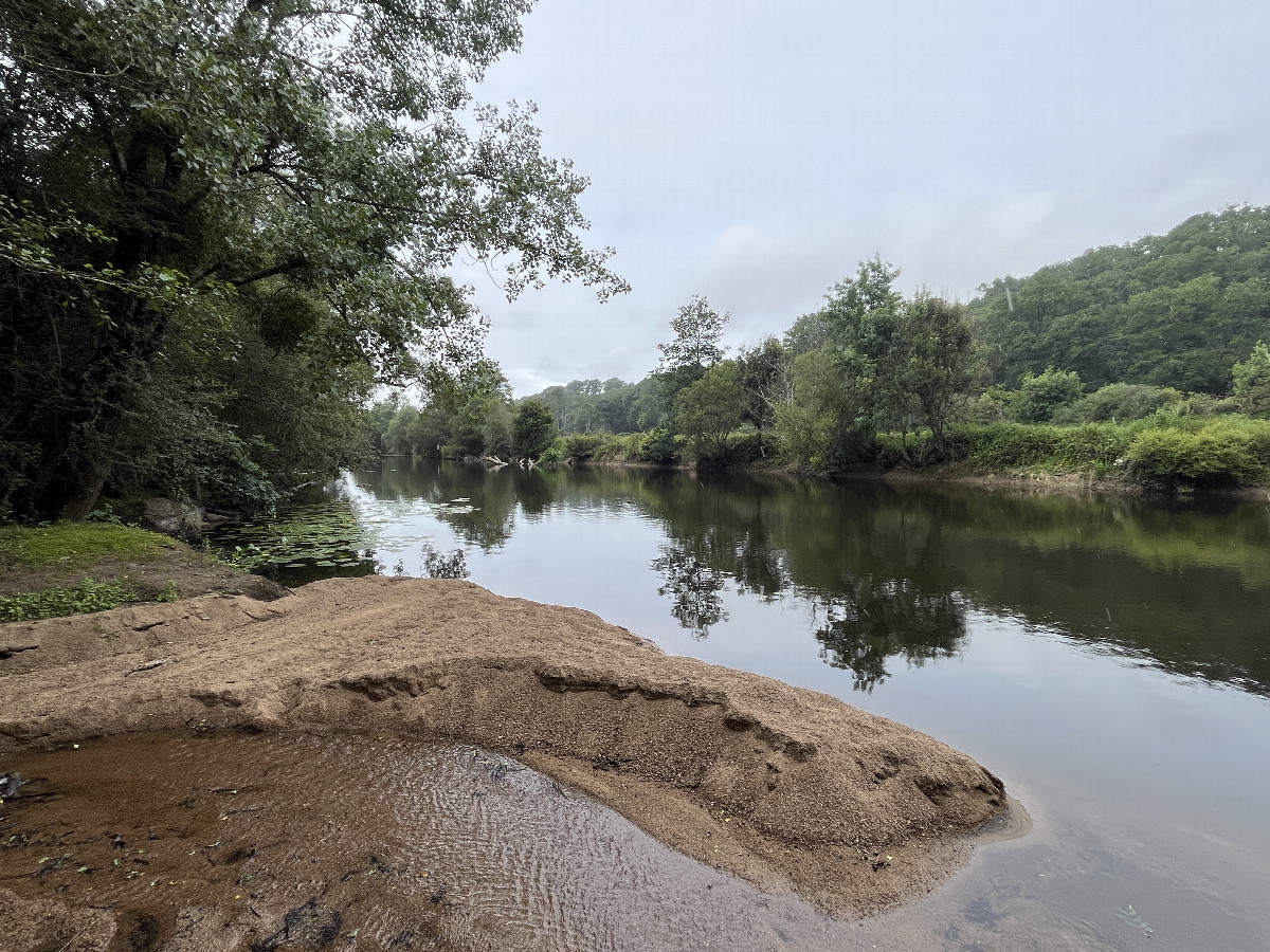 On the bank of the S&egrave;vre Nantaise