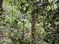 #4: View to the south