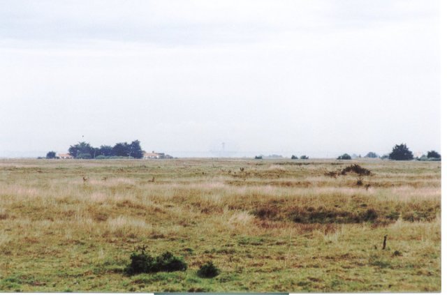 Looking North