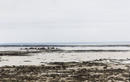 #7: At the coast