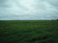 #2: 47N - 02W Vue Nord