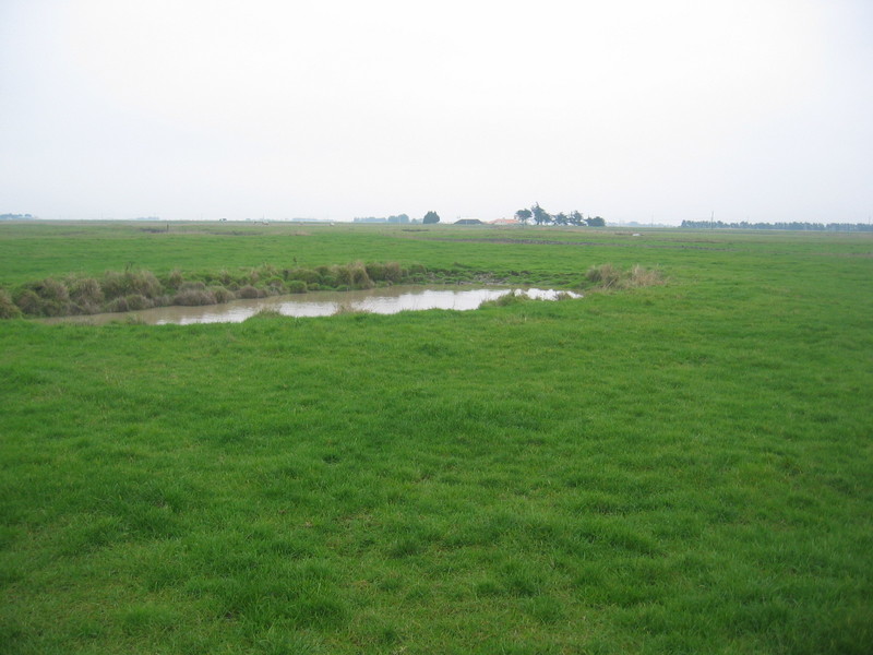 The Confluence from 20 m