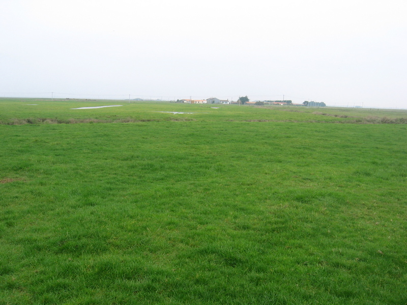 View to the North