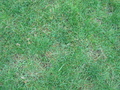 #3: Ground Zero