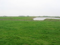 #6: View to the West