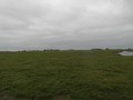 #4: West