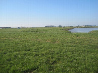 #4: Westen; view west