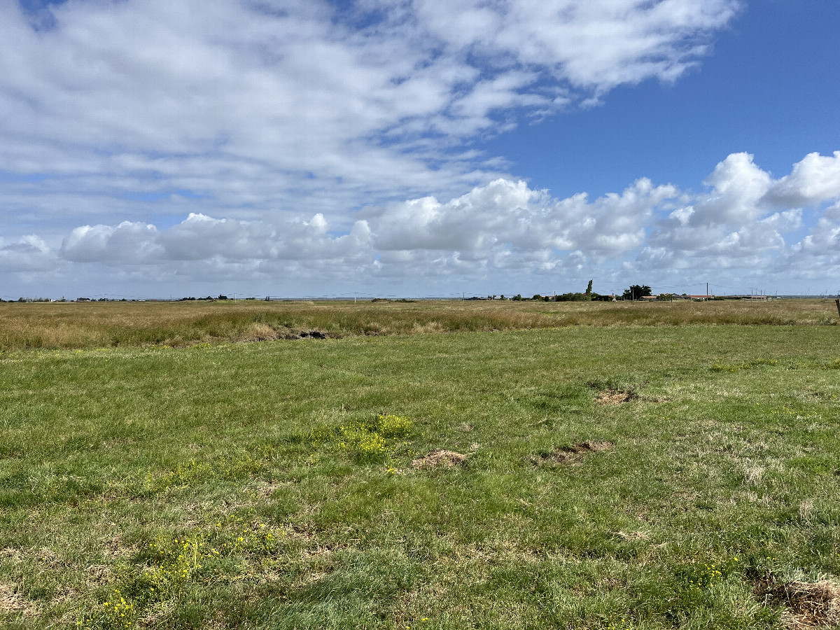 View to the north