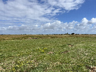 #2: View to the north