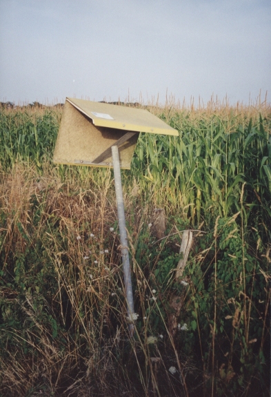 Not a geodesic landmark but the sign for a buried gas pipe