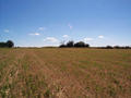 #4: South