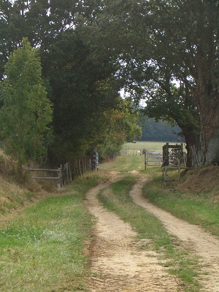 Country lane