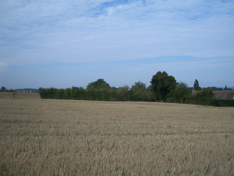Looking West
