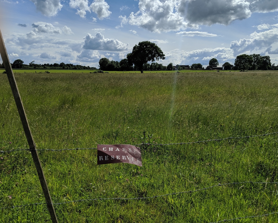 View from the road toward the confluence point