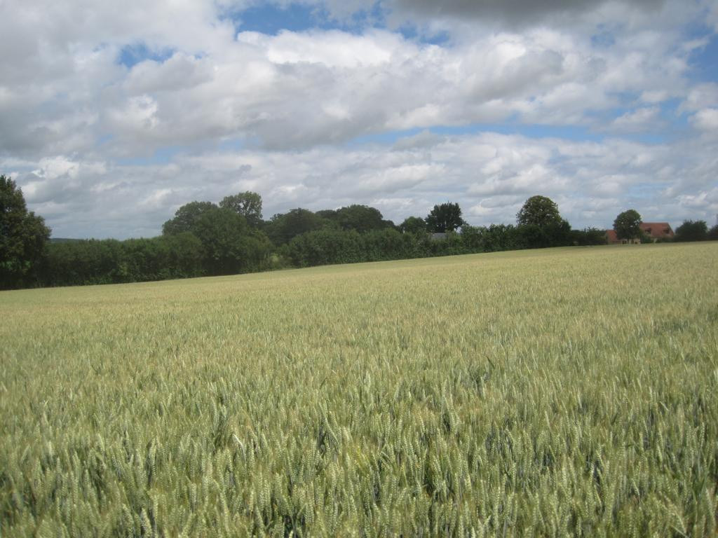 Norden; view north