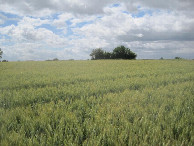 #3: Süden; view south