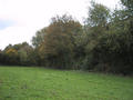 #5: view west from the spot