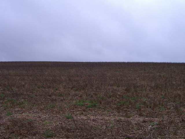 View north / Blick nach Norden