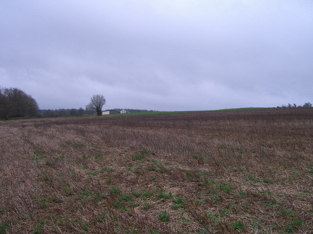 View west / Blick nach Westen