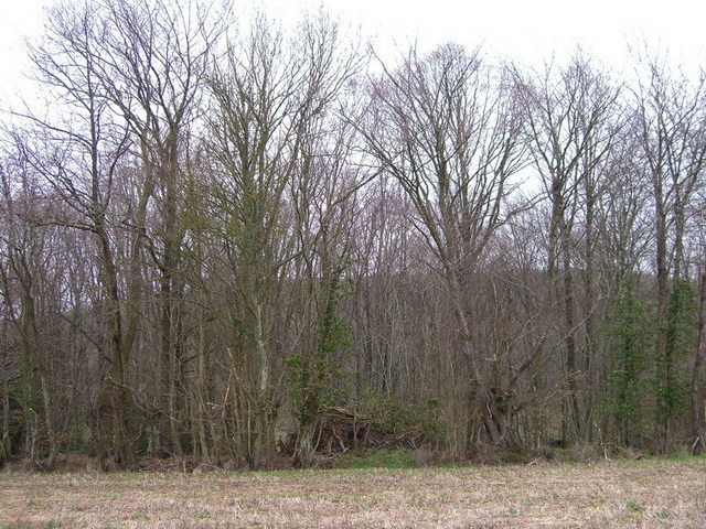 View south / Blick nach Süden